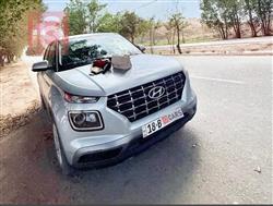 هيونداي فينو